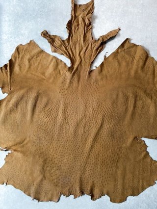 伊製!オーストリッチ駝鳥脚皮&本革&ウエスタン装飾Last Offer ! 楽天市場】長財布 万能タイプ ダチョウ革 駝鳥革 だちょう革