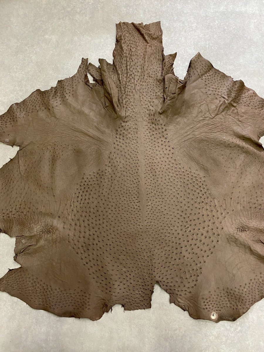 画像1: オーストリッチ　ミンク　ダチョウ革　エキゾチックレザー (1)