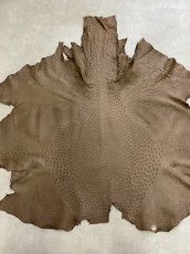 画像1: オーストリッチ　ミンク　ダチョウ革　エキゾチックレザー (1)