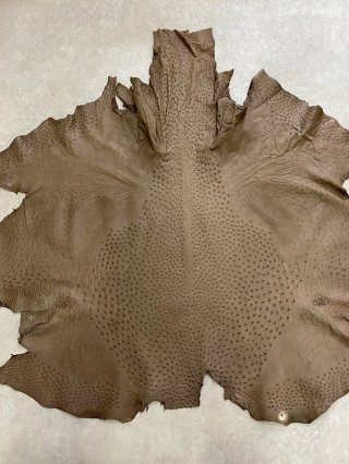 【1点物】オーストリッチ切り替えレザーベスト コンチョ オーストリッチ/ダチョウ革【革とレザークラフト革細工材料のニシカワ