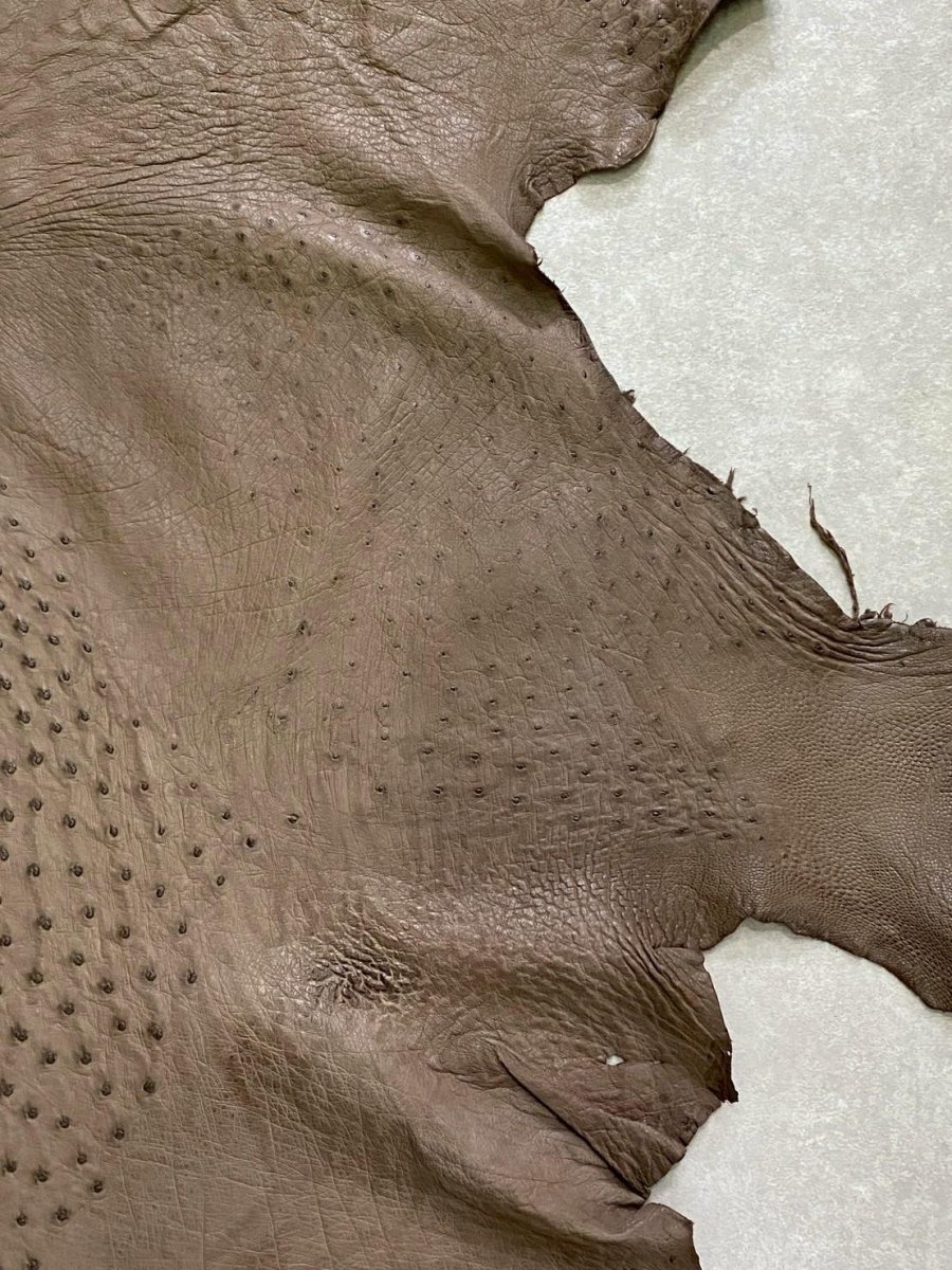 画像9: オーストリッチ　ミンク　ダチョウ革　エキゾチックレザー (9)