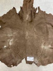 画像10: オーストリッチ　ミンク　ダチョウ革　エキゾチックレザー (10)