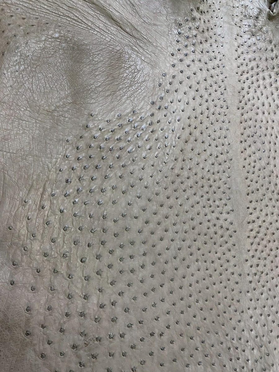 画像4: オーストリッチ　ミンク　ダチョウ革　エキゾチックレザー (4)