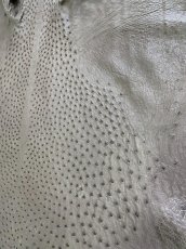画像5: オーストリッチ　ミンク　ダチョウ革　エキゾチックレザー (5)