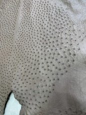 画像6: オーストリッチ　ミンク　ダチョウ革　エキゾチックレザー (6)
