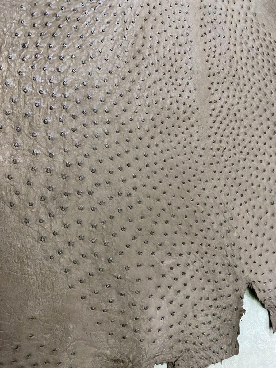 画像7: オーストリッチ　ミンク　ダチョウ革　エキゾチックレザー (7)