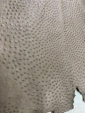 画像7: オーストリッチ　ミンク　ダチョウ革　エキゾチックレザー (7)