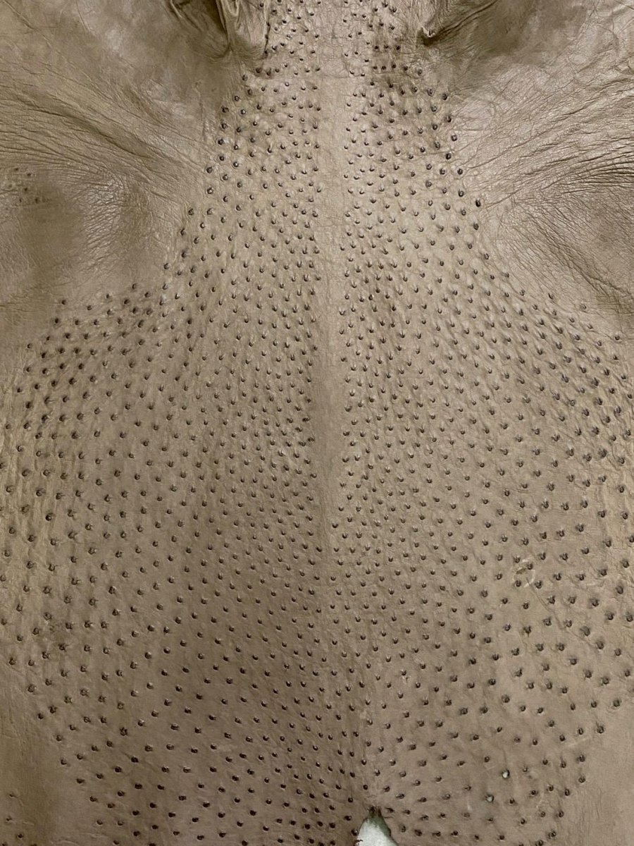 画像2: オーストリッチ　ミンク　ダチョウ革　エキゾチックレザー (2)