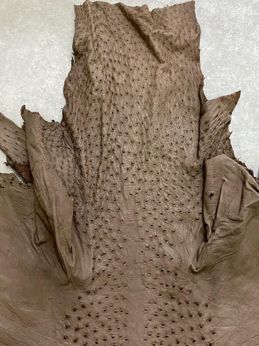 画像3: オーストリッチ　ミンク　ダチョウ革　エキゾチックレザー (3)