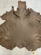 画像1: オーストリッチ　ミンク　ダチョウ革　エキゾチックレザー (1)