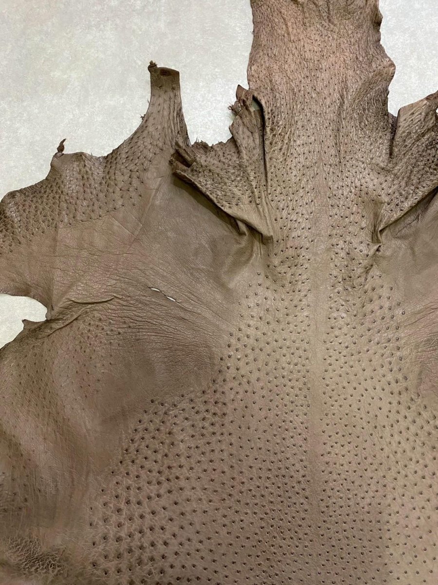 画像2: オーストリッチ　ミンク　ダチョウ革　エキゾチックレザー (2)