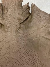 画像3: オーストリッチ　ミンク　ダチョウ革　エキゾチックレザー (3)