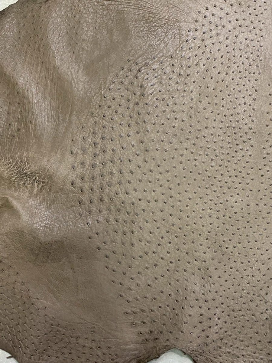 画像4: オーストリッチ　ミンク　ダチョウ革　エキゾチックレザー (4)