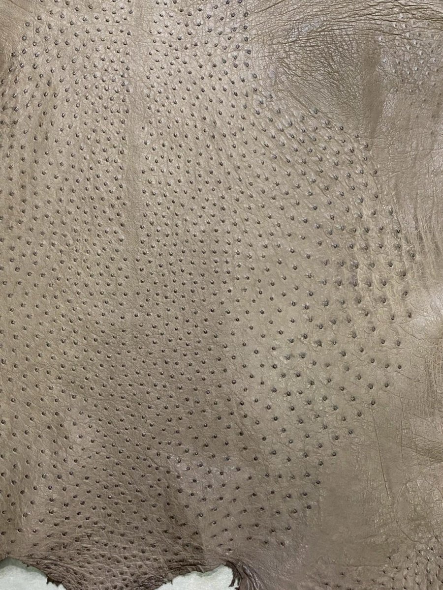 画像5: オーストリッチ　ミンク　ダチョウ革　エキゾチックレザー (5)