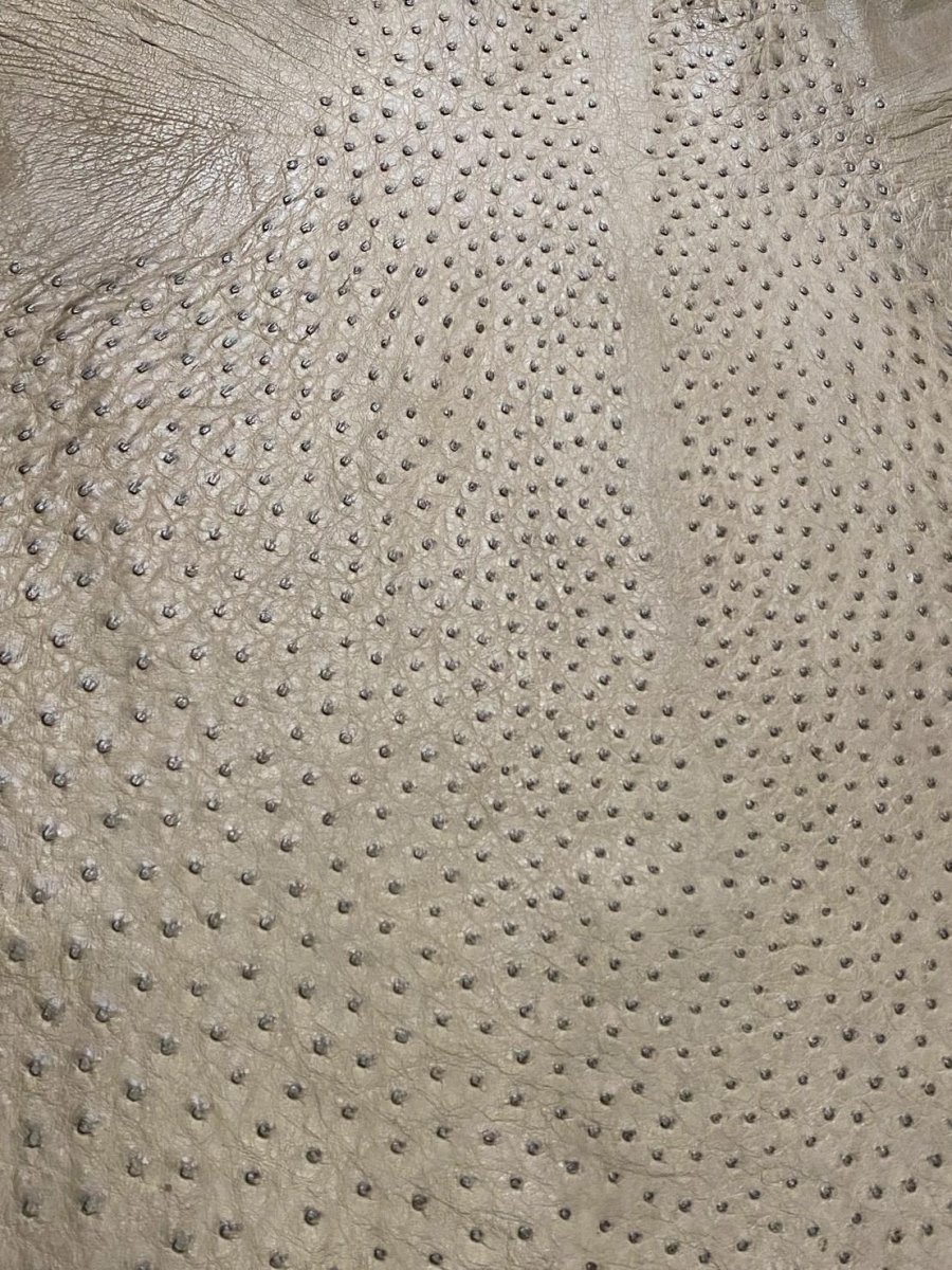 画像6: オーストリッチ　ミンク　ダチョウ革　エキゾチックレザー (6)