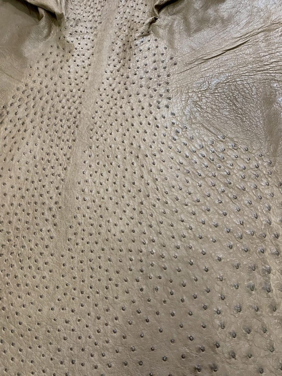 画像7: オーストリッチ　ミンク　ダチョウ革　エキゾチックレザー (7)