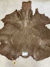 画像9: オーストリッチ　ミンク　ダチョウ革　エキゾチックレザー (9)