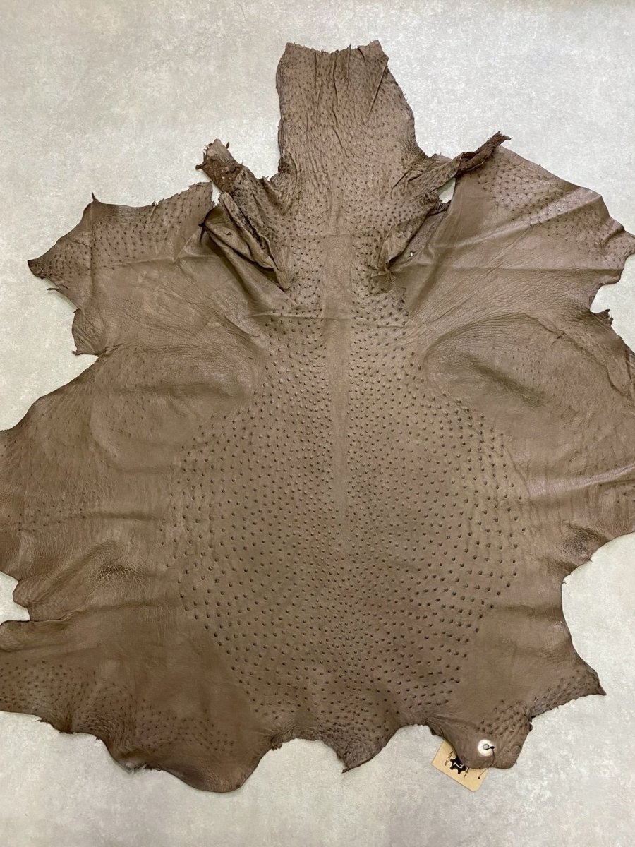 画像1: オーストリッチ　ミンク　ダチョウ革　エキゾチックレザー (1)