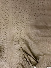 画像2: オーストリッチ　ミンク　ダチョウ革　エキゾチックレザー (2)