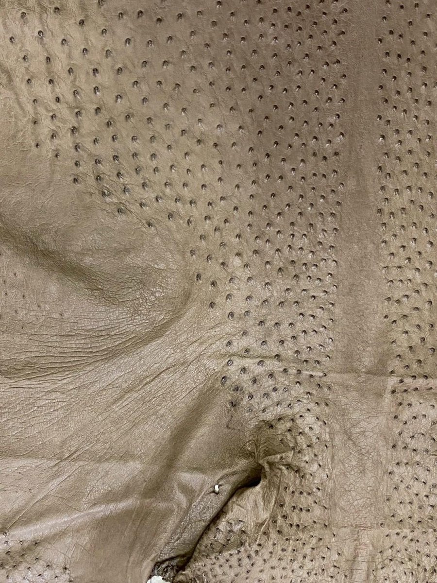 画像3: オーストリッチ　ミンク　ダチョウ革　エキゾチックレザー (3)