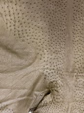 画像3: オーストリッチ　ミンク　ダチョウ革　エキゾチックレザー (3)