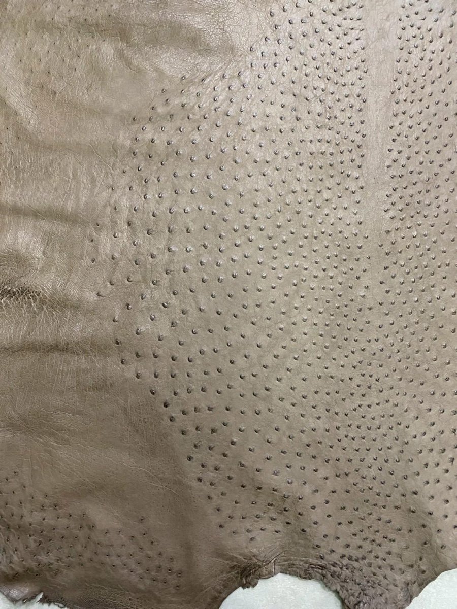 画像5: オーストリッチ　ミンク　ダチョウ革　エキゾチックレザー (5)