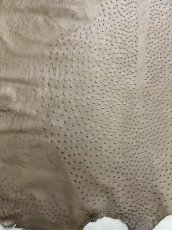 画像5: オーストリッチ　ミンク　ダチョウ革　エキゾチックレザー (5)