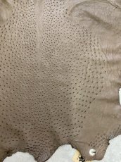 画像6: オーストリッチ　ミンク　ダチョウ革　エキゾチックレザー (6)