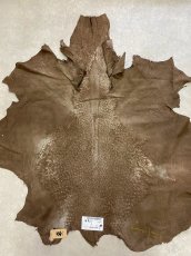 画像8: オーストリッチ　ミンク　ダチョウ革　エキゾチックレザー (8)