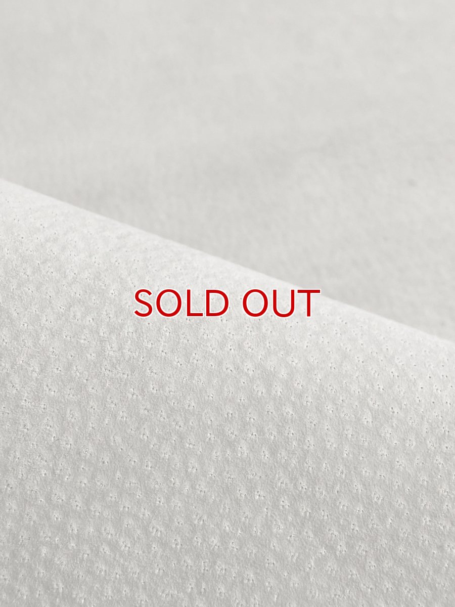 画像9: 豚　床革　ピッグスウェード　オフホワイト (9)