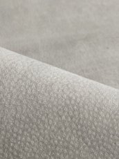 画像9: 豚　床革　ピッグスウェード　オフホワイト (9)