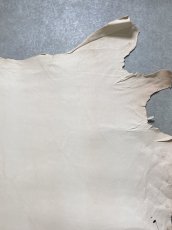 画像3: 豚革　ブタ革　ヌメ　ピッグスキン　タンニンなめし (3)
