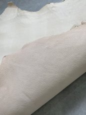 画像9: 豚革　ブタ革　ヌメ　ピッグスキン　タンニンなめし (9)