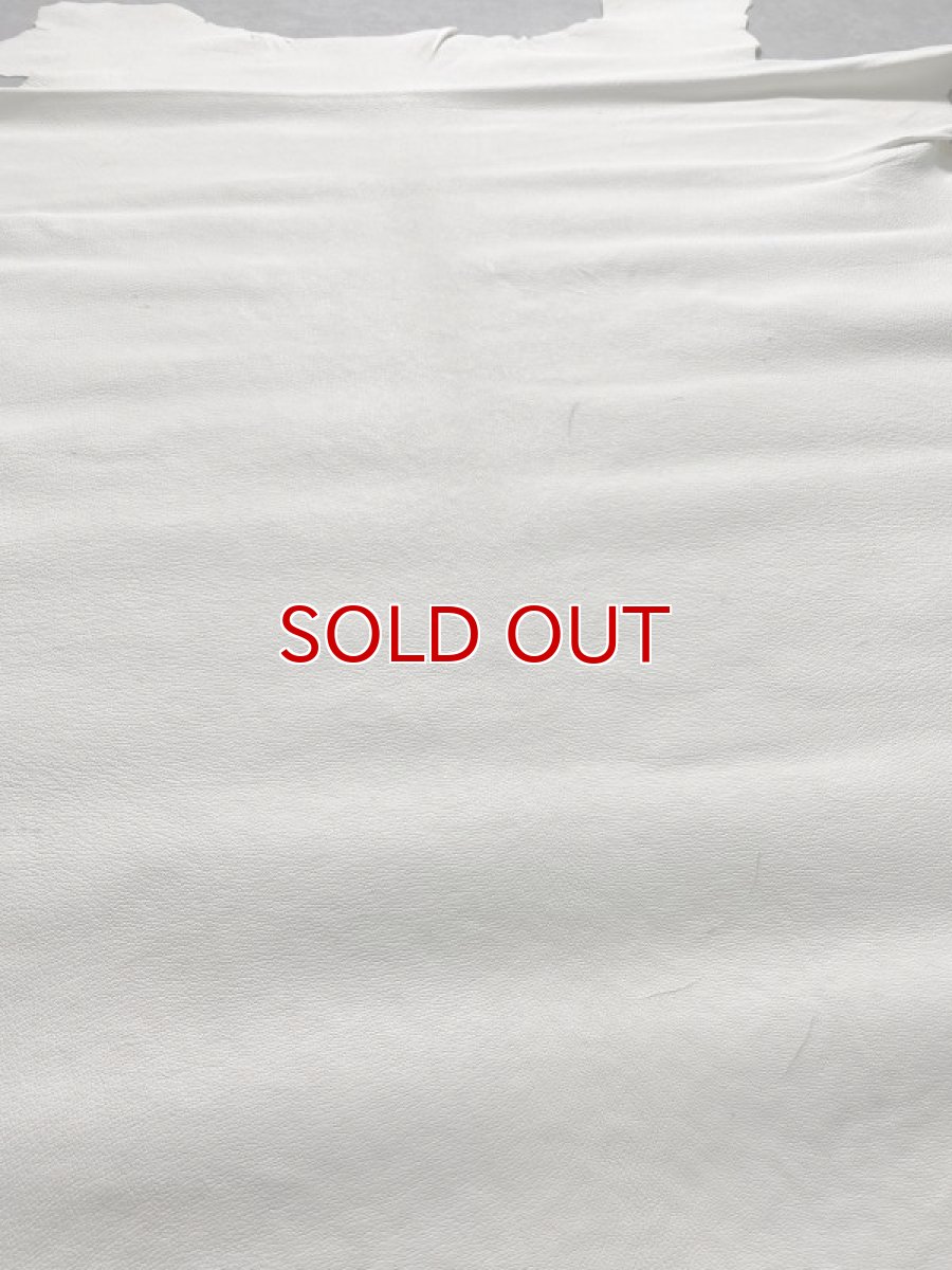 画像6: 豚革　ホワイト　ブタ革　ピッグスキン (6)