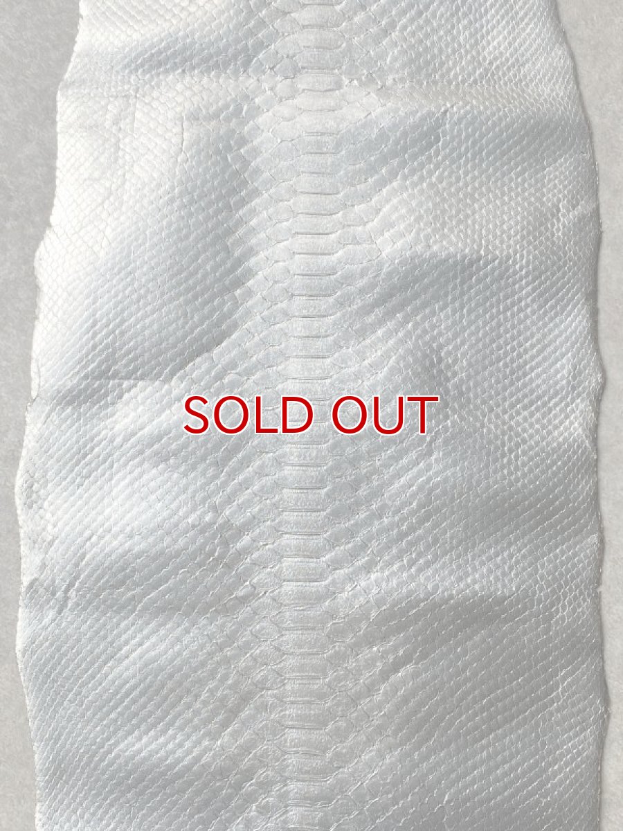 画像4: ダイヤモンドパイソン　シルバー　295cm (4)