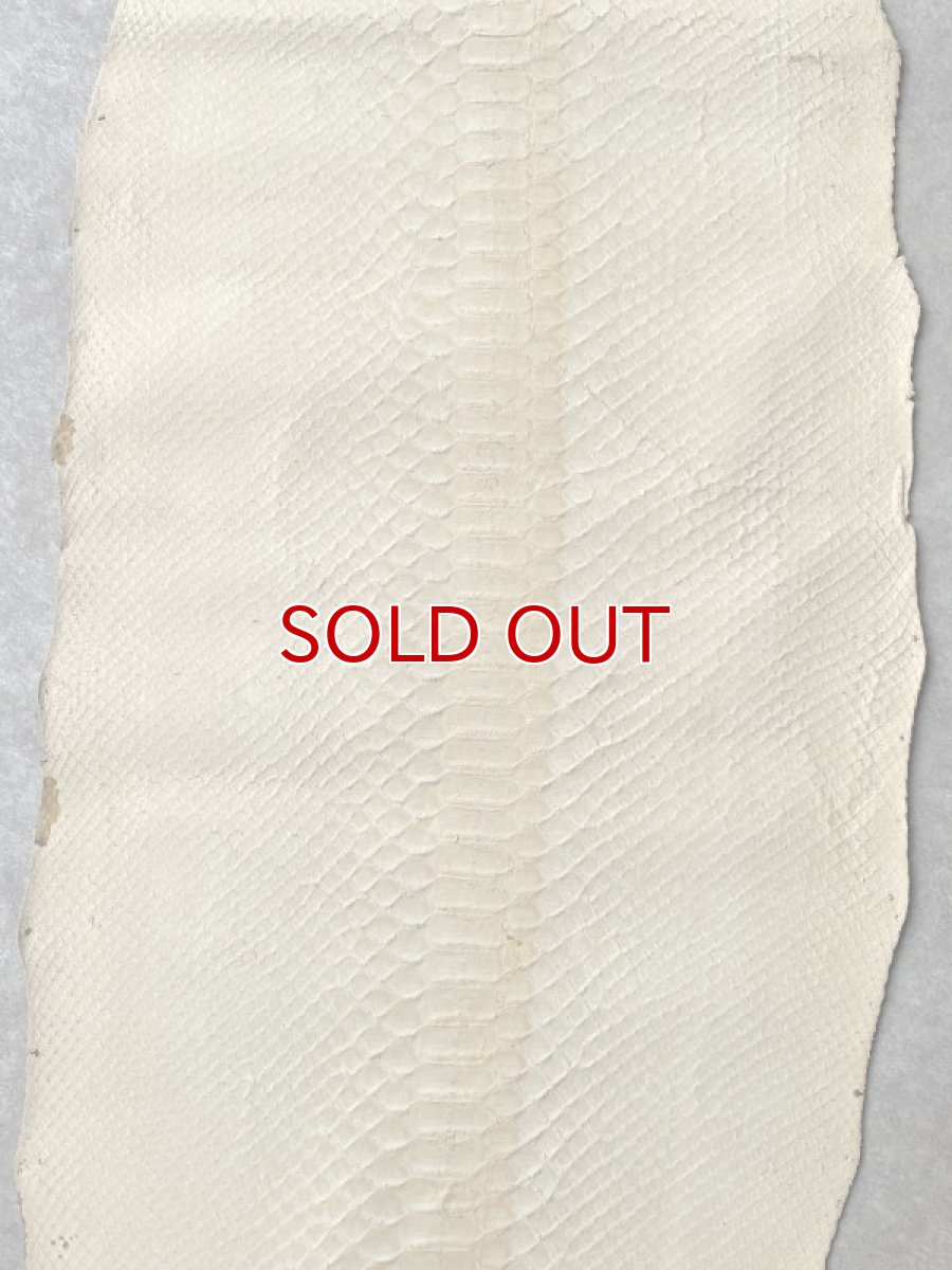 画像5: ダイヤモンドパイソン　シルバー　295cm (5)