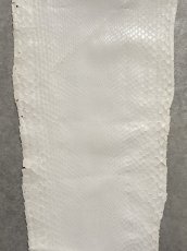 画像3: パイソン ホワイト 0.95m ヘビ革 蛇革 エキゾチックレザー (3)