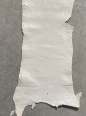画像4: パイソン ホワイト 0.95m ヘビ革 蛇革 エキゾチックレザー (4)