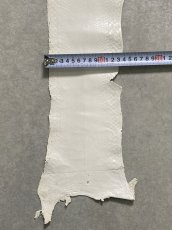 画像8: パイソン ホワイト 0.95m ヘビ革 蛇革 エキゾチックレザー (8)