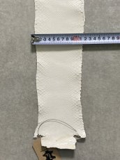 画像9: パイソン ホワイト 1.1m ヘビ革 蛇革 エキゾチックレザー (9)