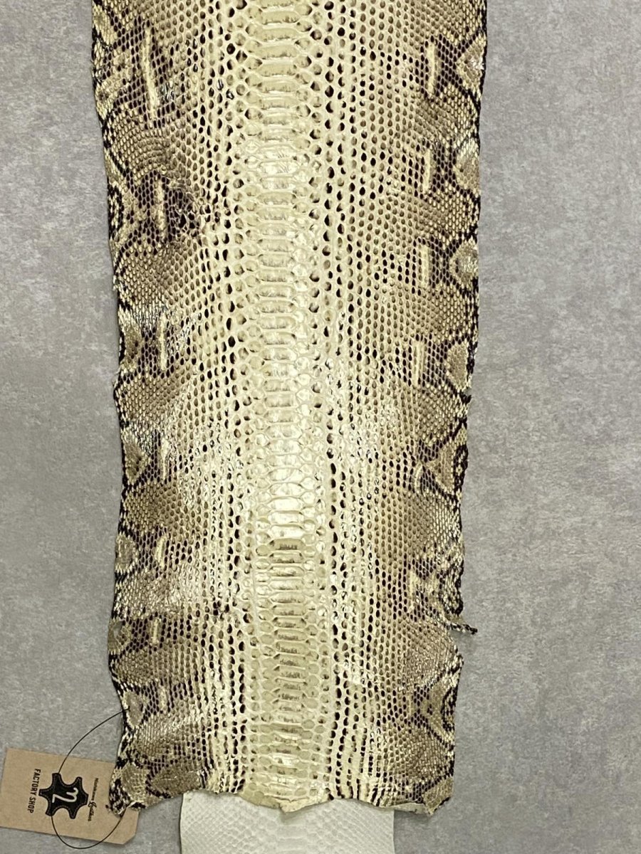 画像4: ダイヤモンドパイソン　ナチュラル  B/C　320cm　ヘビ革　蛇革　エキゾチックレザー (4)