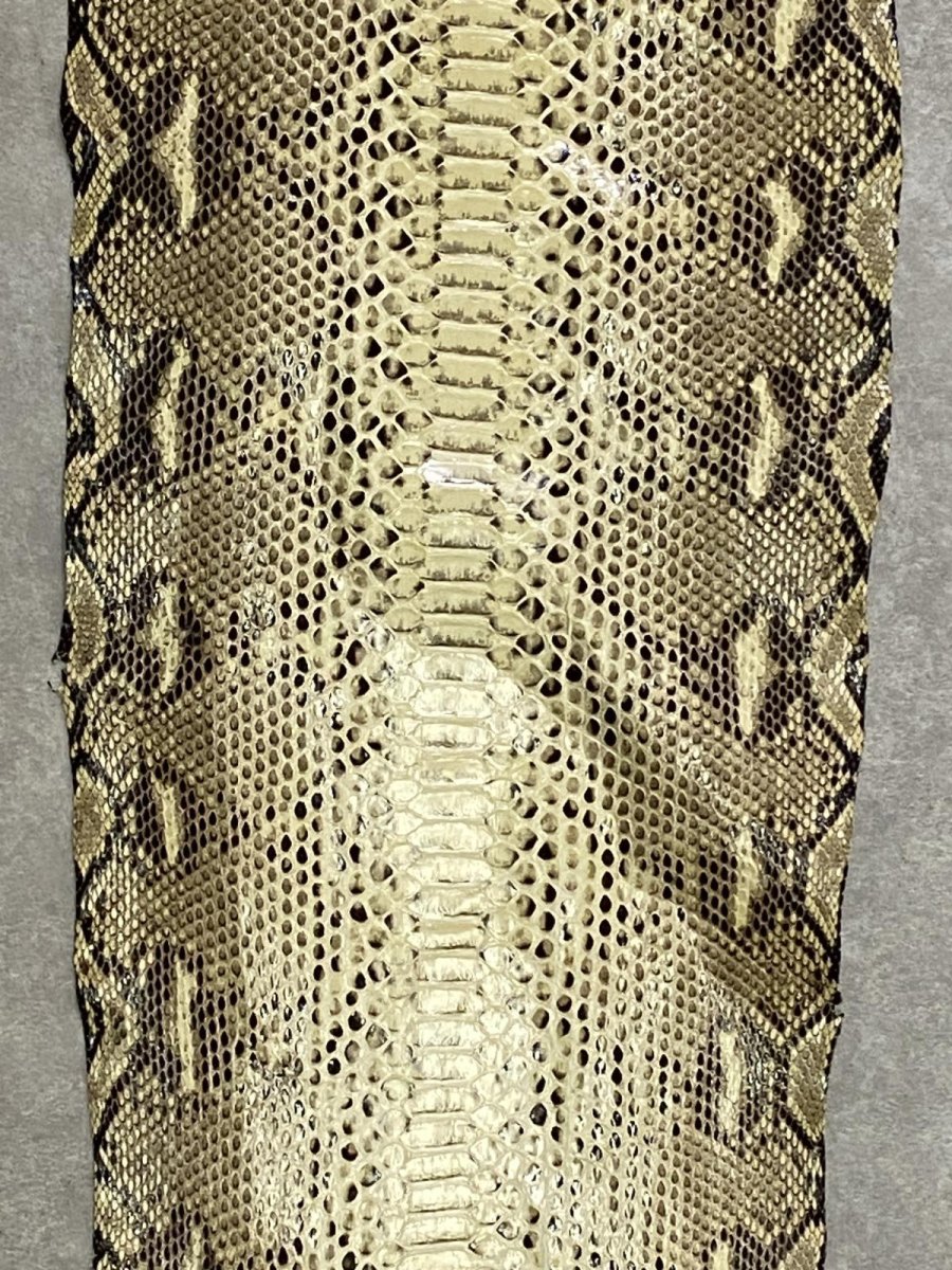 画像3: ダイヤモンドパイソン　ナチュラル  B/C　320cm　ヘビ革　蛇革　エキゾチックレザー (3)