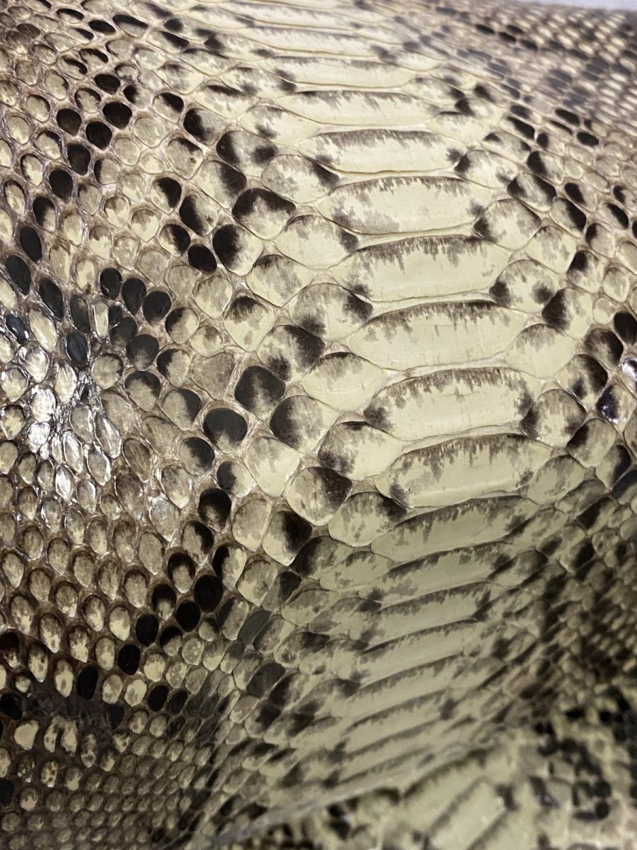 画像8: ダイヤモンドパイソン　ナチュラル  B/C　320cm　ヘビ革　蛇革　エキゾチックレザー (8)