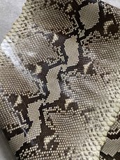 画像4: ダイヤモンドパイソン　ヘビ革　ナチュラル　ツヤあり  F/C　320cm　蛇革　エキゾチックレザー (4)