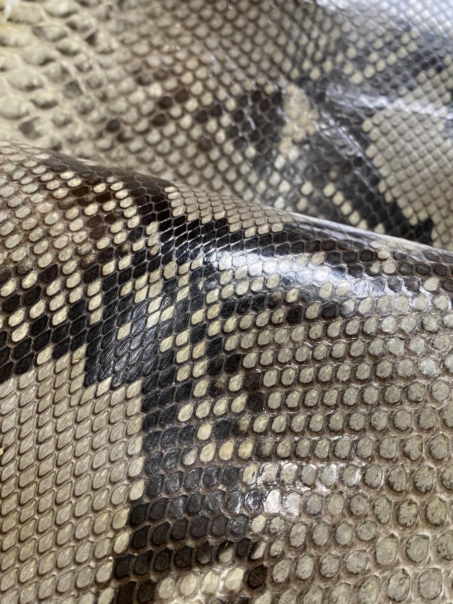 画像5: ダイヤモンドパイソン　ヘビ革　ナチュラル　ツヤあり  F/C　320cm　蛇革　エキゾチックレザー (5)