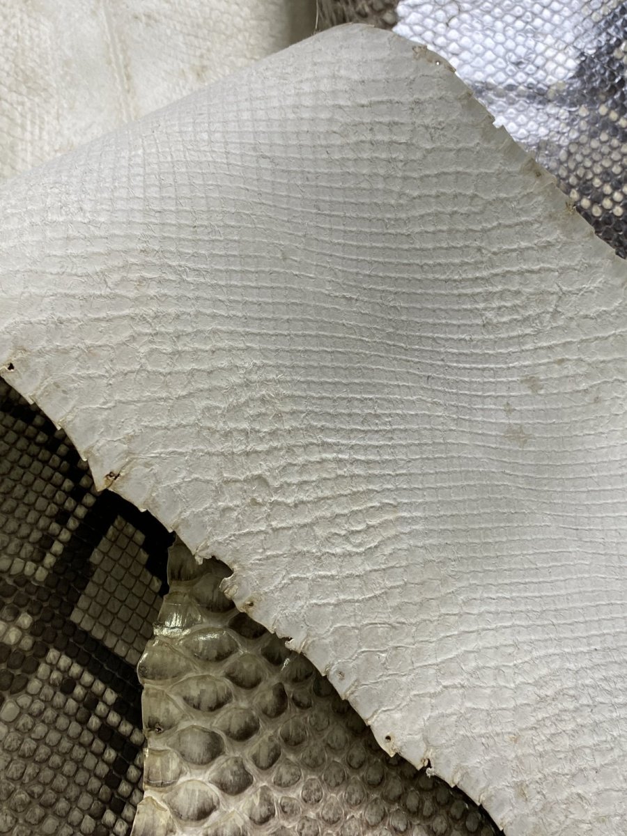 画像6: ダイヤモンドパイソン　ヘビ革　ナチュラル　ツヤあり  F/C　320cm　蛇革　エキゾチックレザー (6)