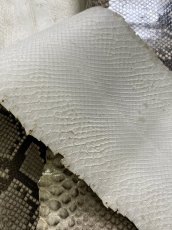 画像6: ダイヤモンドパイソン　ヘビ革　ナチュラル　ツヤあり  F/C　320cm　蛇革　エキゾチックレザー (6)