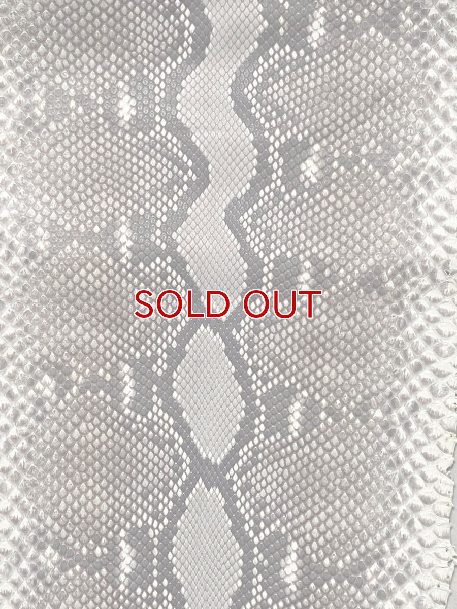 画像2: ダイヤモンドパイソン ナチュラル ツヤなし F/C 325cm (2)