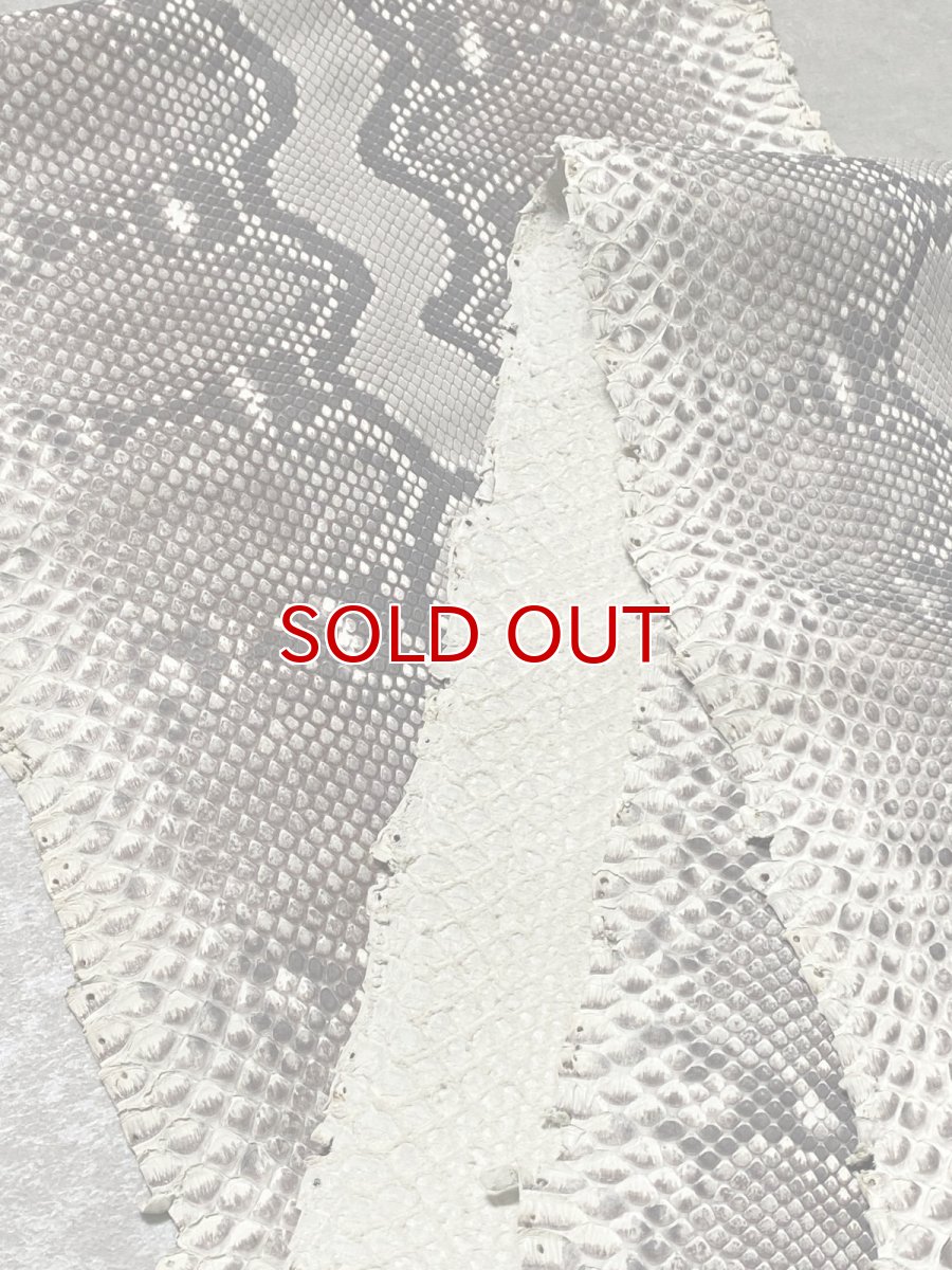 画像3: ダイヤモンドパイソン ナチュラル ツヤなし F/C 325cm (3)