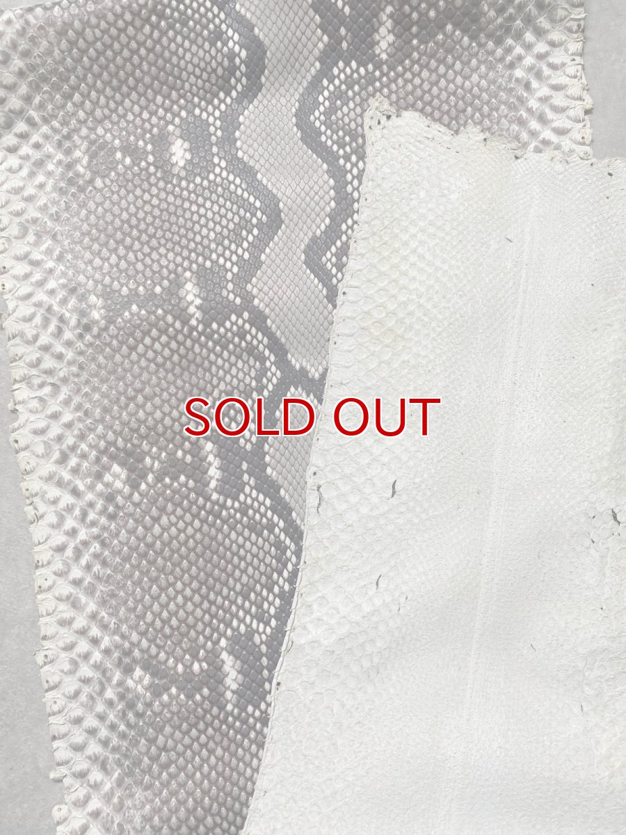 画像4: ダイヤモンドパイソン ナチュラル ツヤなし F/C 325cm (4)